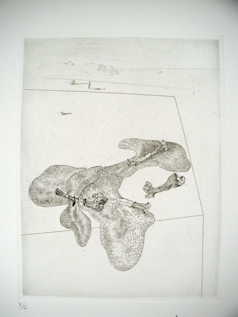 A drawing of an animal 's heart and its bones.